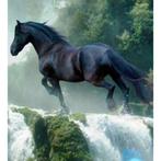Diamond painting zwart paard 50 x 40 cm full vol ■, Nieuw, Ophalen of Verzenden