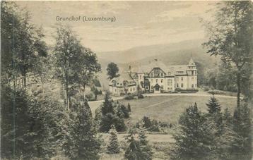 (381-225-005) Luxembourg Grundhof beschikbaar voor biedingen