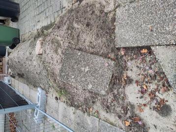 Xxx beschikbaar voor biedingen