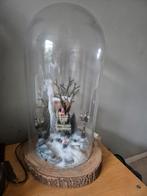 Glazen stolp met inhoud en boomstronk, Ophalen, Overige materialen, Gebruikt, 25 tot 50 cm