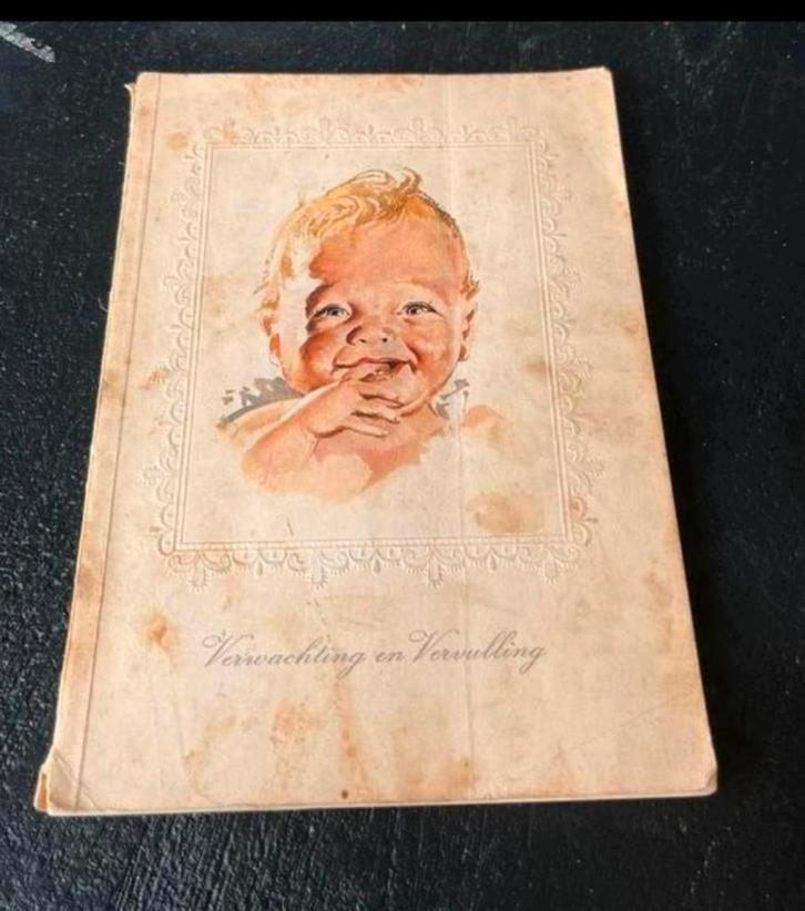 Babyboekje Verwachting en vervulling 1954 Friesche vlag, Boeken, Zwangerschap en Opvoeding, Zo goed als nieuw, Zwangerschap en Bevalling