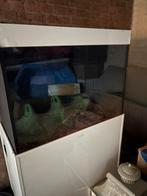 Aquarium met onderkast, Dieren en Toebehoren, Vissen | Aquaria en Toebehoren, Ophalen of Verzenden, Gebruikt, Leeg aquarium