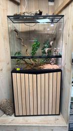 Aquatlantis meubel + terrarium, Dieren en Toebehoren, Reptielen en Amfibieën | Toebehoren, Ophalen, Aquatlantis, Aquatlantis, Nieuw