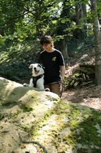 Online bijles wiskunde, natuurkunde en scheikunde t/m 6 vwo, Privéles, Bijles