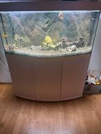 Juwel Visoen 260 met meubel, Dieren en Toebehoren, Vissen | Aquaria en Toebehoren, Ophalen, Leeg aquarium