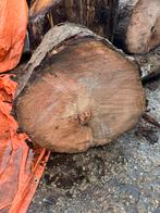 Bod gevraagd 3 kuub eiken stammen brandhout, Tuin en Terras, Haardhout, 3 tot 6 m³, Ophalen, Eikenhout, Stammen