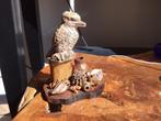 Kookaburra vogel,austalische kookaburra, Ophalen, Zo goed als nieuw, Dier