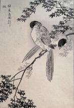 Japanse houtsnede van Kono Bairei - Groot - Vogel no. 2, Antiek en Kunst, Kunst | Etsen en Gravures, Ophalen of Verzenden