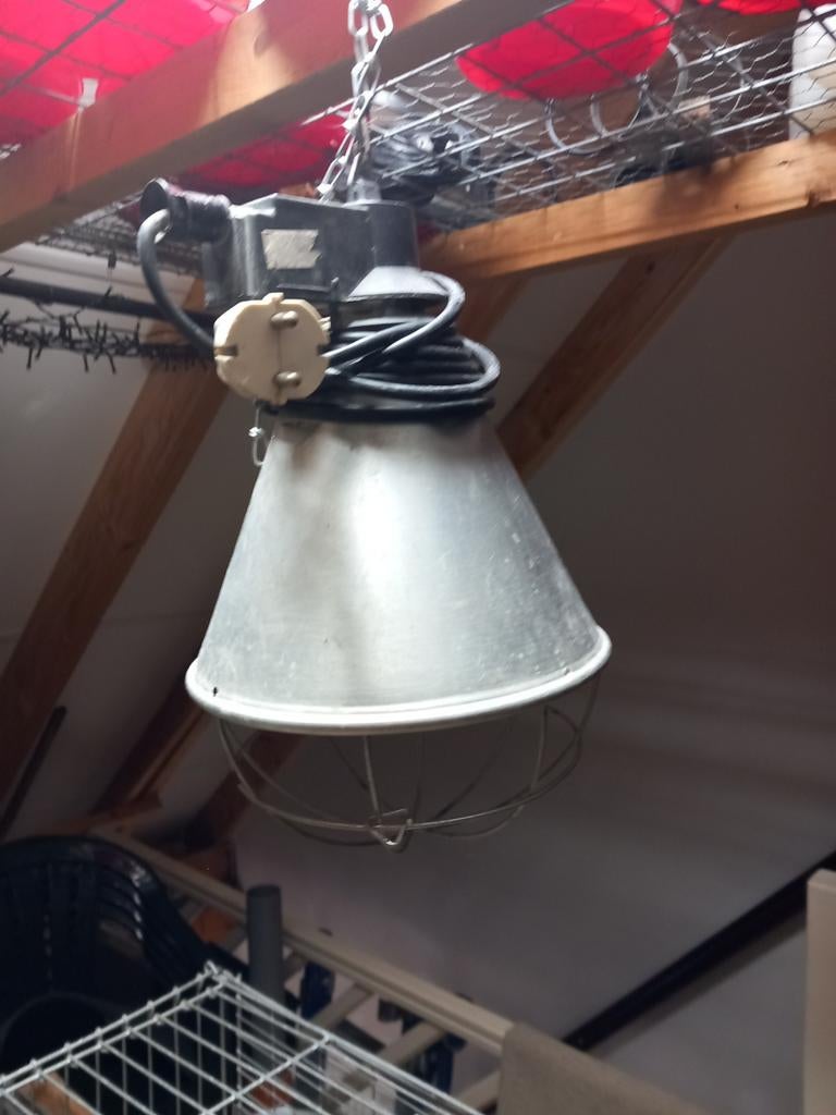 warmtelamp geschikt voor kuikens., Dieren en Toebehoren, Pluimvee | Toebehoren, Ophalen of Verzenden, Gebruikt, Drinken en Voederen