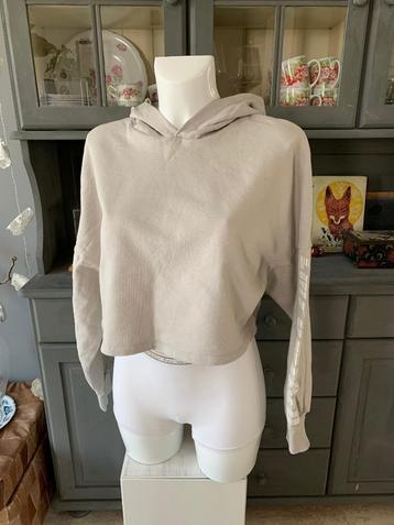 Korte hoodie van H&M Divided maat M beschikbaar voor biedingen