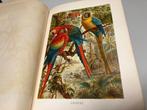 Brehms Tierleben 1892 3 pracht banden, Ophalen of Verzenden