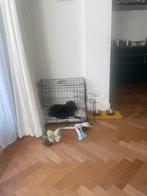 Bench voor hond, Dieren en Toebehoren, Ophalen of Verzenden, Zo goed als nieuw