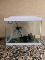 Superfish wit aquarium vissenkom met deksel en toebehoren, Dieren en Toebehoren, Vissen | Aquaria en Toebehoren, Ophalen of Verzenden