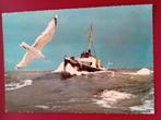 Ansichtkaart Zeekoet, Ophalen of Verzenden, Motorboot, Kaart, Foto of Prent