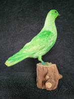 Een prachtige opgezette groene duif!, Nieuw, Opgezet dier, Vogel, Ophalen of Verzenden