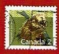 Fauna - Dieren - Stekelvarken - Canada - 2 ct - gebr, Ophalen of Verzenden, Gestempeld, Dier of Natuur