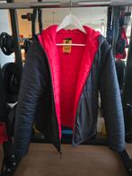 Etnies Winterjas Maat M, men's winter puffer jacket, Zwart, Ophalen of Verzenden, Zo goed als nieuw, Maat 38/40 (M)