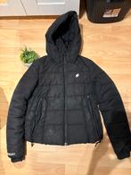 Superdry Puffer Jas Dames - Zwart, Ophalen of Verzenden, Zo goed als nieuw, Maat 36 (S), Zwart