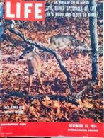 Life Magazine December 13, 1954, Ophalen, Gelezen, Overige typen