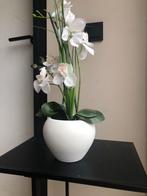Nieuw prachtig orchidee in pot, Ophalen of Verzenden, Nieuw