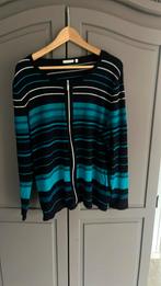 Vest maat xl, Ophalen, Zo goed als nieuw, Blauw