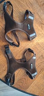 Tuigjes voor Franse Bulldog, Ophalen, Zo goed als nieuw