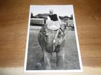 Fotokaart Circus Man op Olifant, Verzenden, Ongelopen