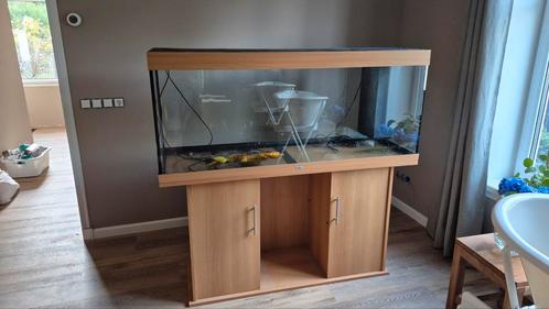Prachtige Juwel rio 450 aquarium, Dieren en Toebehoren, Vissen | Aquaria en Toebehoren, Zo goed als nieuw, Leeg aquarium, Ophalen