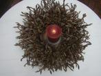 Krans van magnolia takken, Ophalen of Verzenden, Nieuw