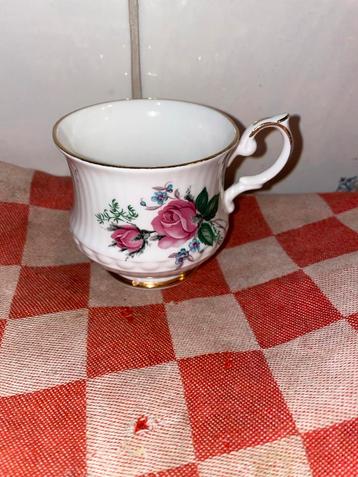 Vintage Kop met Rozen  royal stafford rosalind of blossom beschikbaar voor biedingen