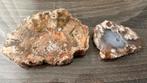 Versteend hout en bloemagaat schijf, Ophalen of Verzenden, Mineraal