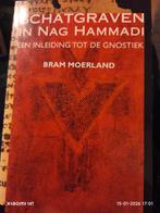 Schatgraven in Nag Hammadi - Bram Moerland, Ophalen of Verzenden, Gelezen, Bram Moerland