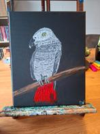 Grijze Roodstaart Papegaai - Acryl Schilderij, Ophalen of Verzenden