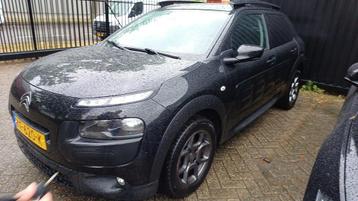 Citroen C4 Cactus 1.2 PureTech Shine | Navigatie | Climate C beschikbaar voor biedingen