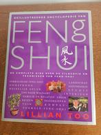 Feng Shui, Ophalen of Verzenden, Zo goed als nieuw, Cultuurfilosofie, Lillian Too