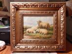 Olieverf Schilderij "De Schapen" in kapitale sierlijst gesig, Antiek en Kunst, Kunst | Schilderijen | Klassiek, Ophalen of Verzenden