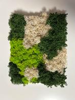Mooie mos decoratie - 30x40 cm, Ophalen of Verzenden, Nieuw, Minder dan 10 m², Gras