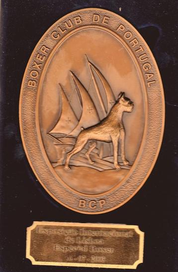 BOXER  CLUB  DE  PORTUGAL  beschikbaar voor biedingen