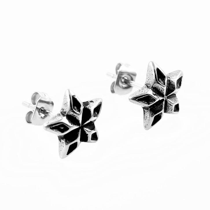 Roestvrij Stalen Ster Oorbellen - Dames, Sieraden, Tassen en Uiterlijk, Oorbellen, Nieuw, Knopjes of Stekers, Overige materialen
