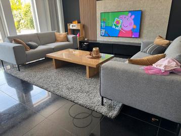 Grote Vloerkleed/ tapijt grijs 240x300 