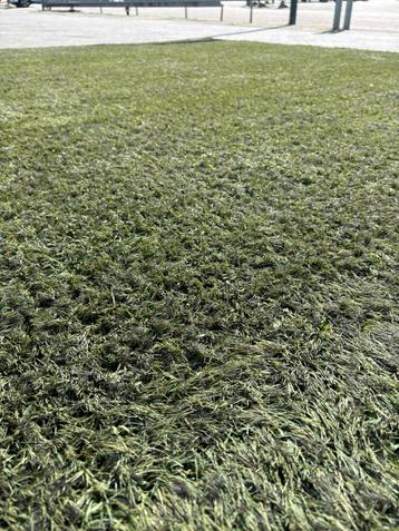 Kunstgras aanbieding 50mm hoog beschikbaar voor biedingen