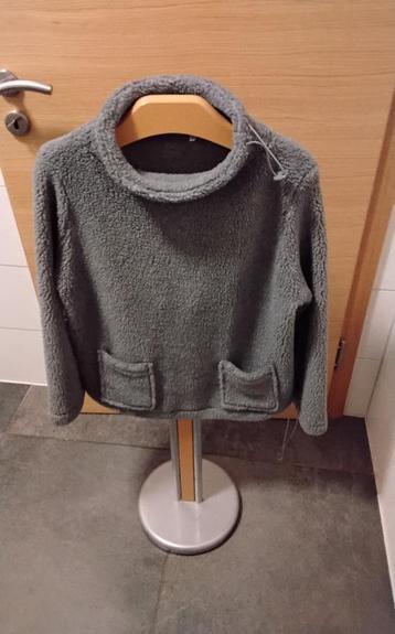 Trendy Teddy dames trui beschikbaar voor biedingen