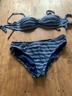 Blauw witte bikini L, Kleding | Dames, Badmode en Zwemkleding, Ophalen of Verzenden, Zo goed als nieuw, Blauw, Bikini