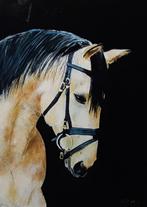 Paard in het donker, Antiek en Kunst, Kunst | Schilderijen | Klassiek, Ophalen