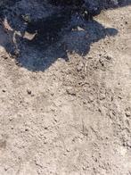 Zwart zand, Tuin en Terras, Zand, Ophalen, Zo goed als nieuw, Overige typen