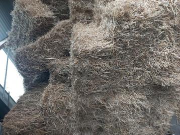 Hooi kleine baaltjes 20 tot 25 kilo van onbemest land  beschikbaar voor biedingen