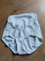 Papillon maternity support underwear size 42, Maat 38/40 (M), Ophalen of Verzenden, Zo goed als nieuw, Papillon