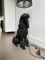 Koningspoedel lamp uniek, Ophalen, Gebruikt