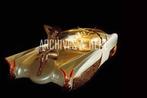 Barris custom GM 1950s automobile Munster Koach  foto, Verzenden, Nieuw, Auto's