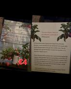 Sarah allen liefdeskunsten, Ophalen of Verzenden, Zo goed als nieuw